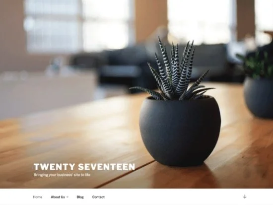 default WordPress theme - Twenty Seventeen