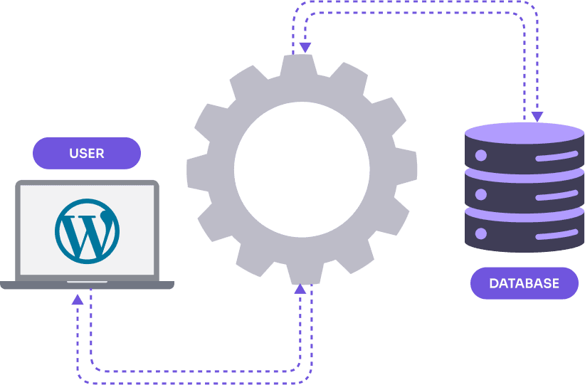 WordPress as headless CMS
