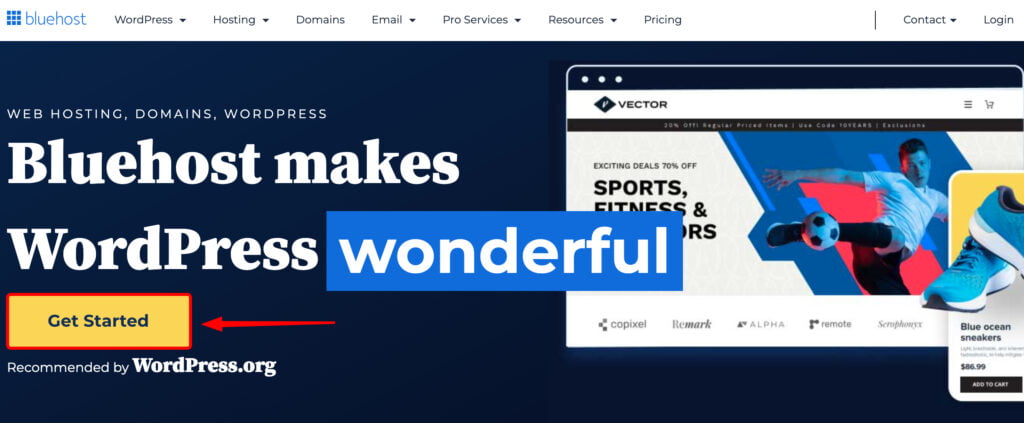 create wordpress website