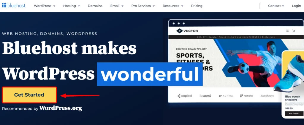 create wordpress website