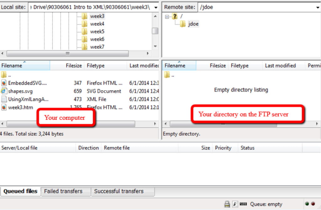 backup wordpress