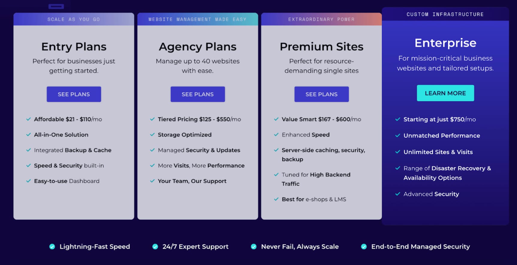 enterprise managed hosting services
