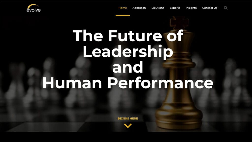 evolve-leadership-old-website-design