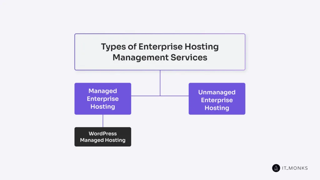 Types of enterprise hosting management services