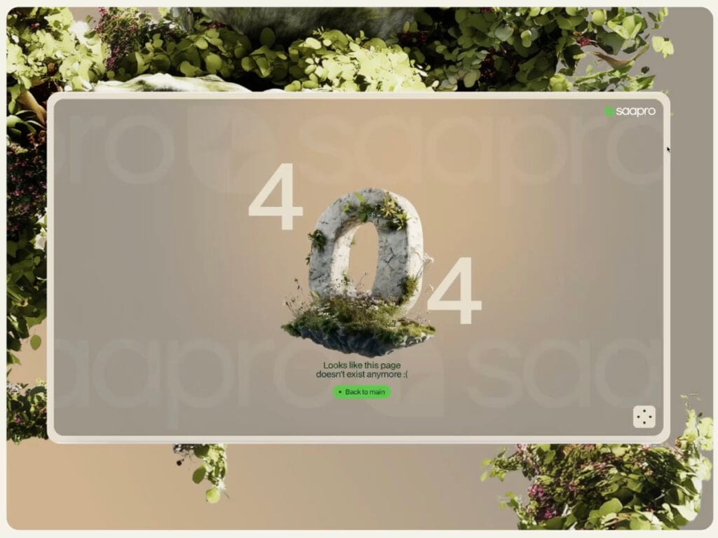 SAAPRO 404 page