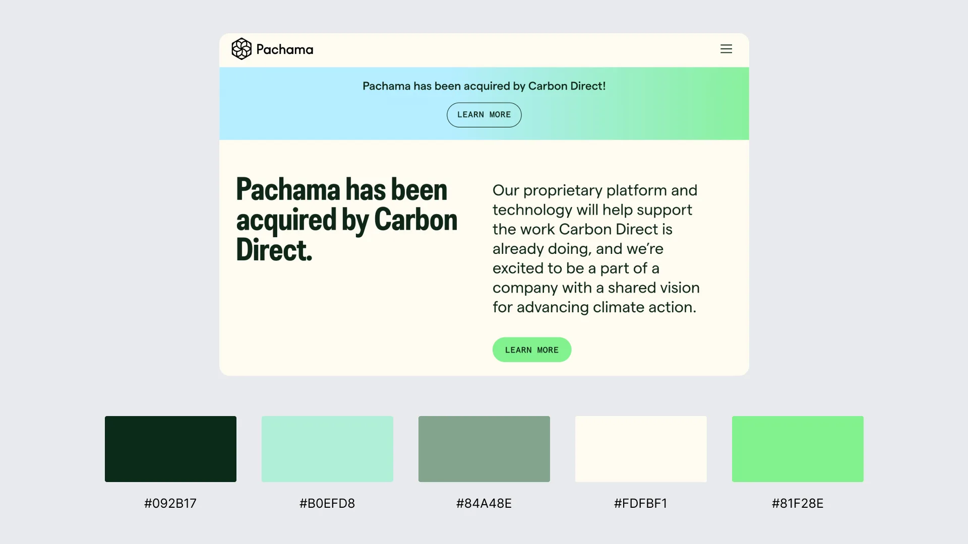 Soft Analogous Greens & Teals (pachama.com)