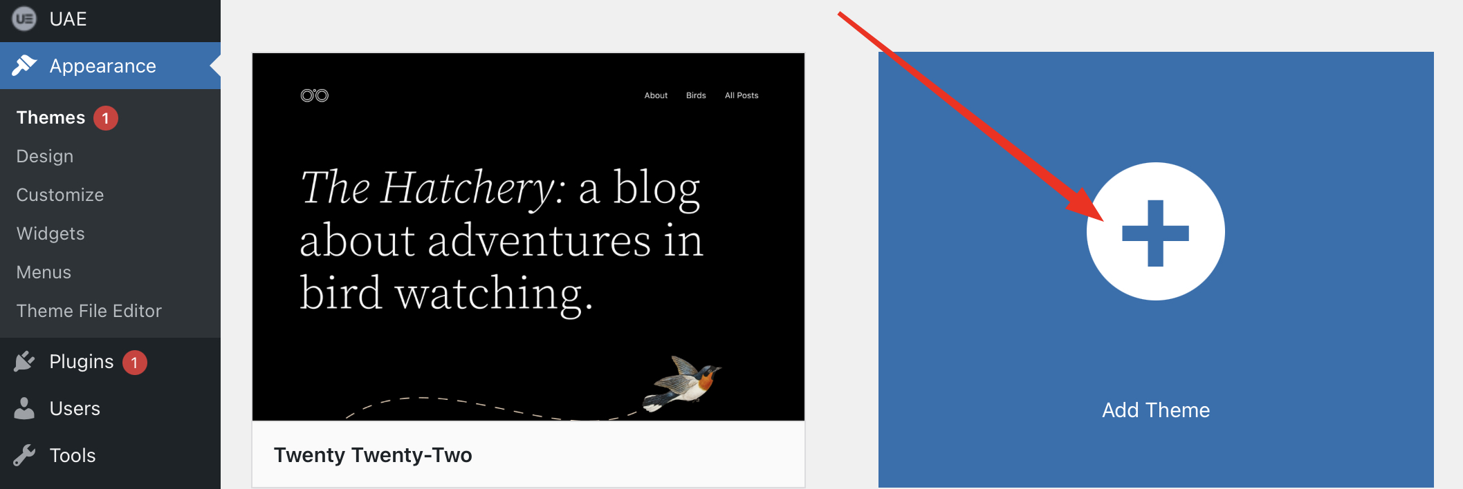 How to Install a WordPress Theme