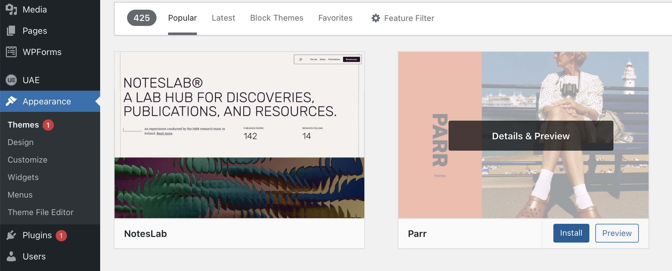 Install & Activate WP theme