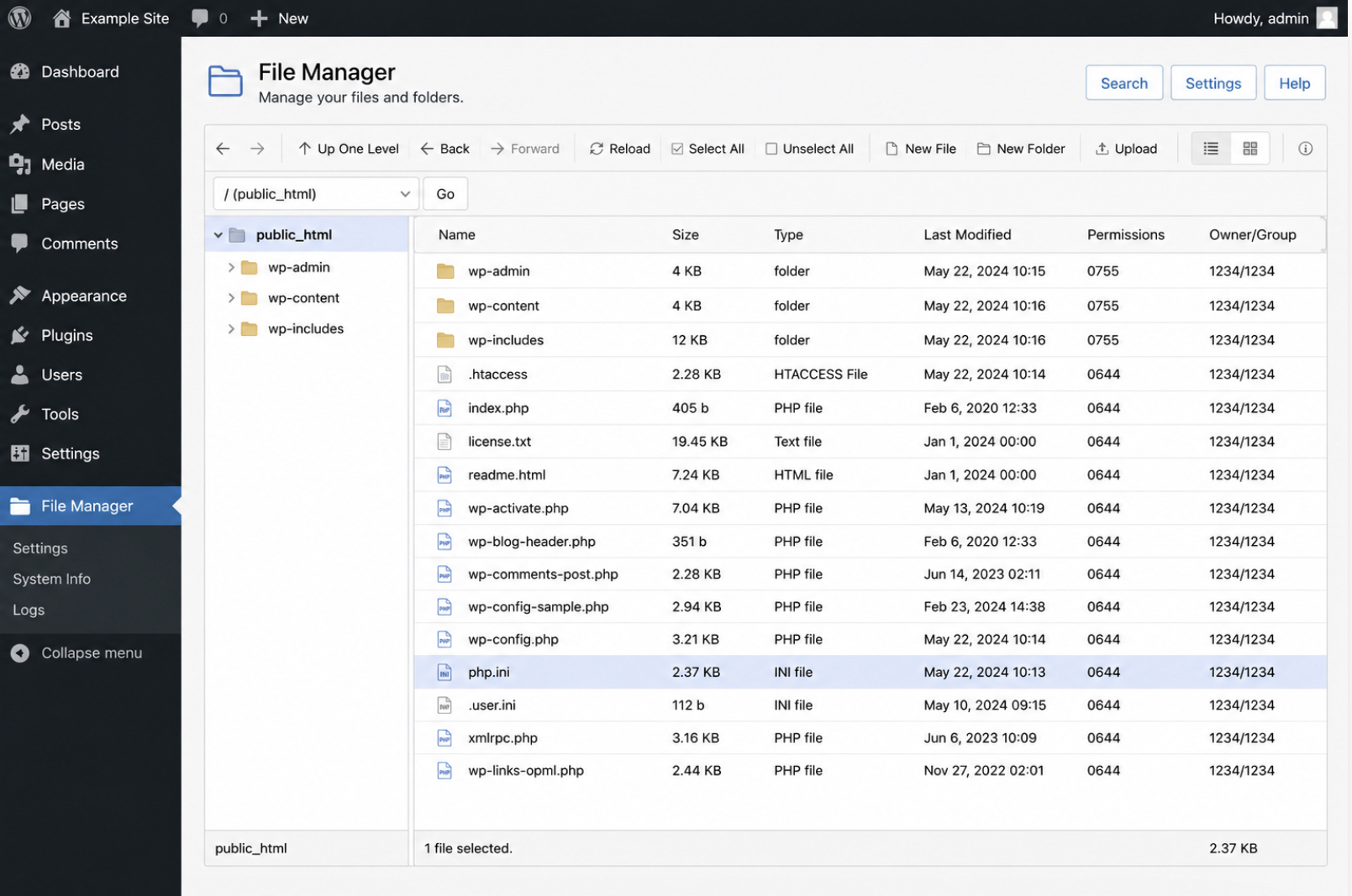 WordPress file-manager plugin admin