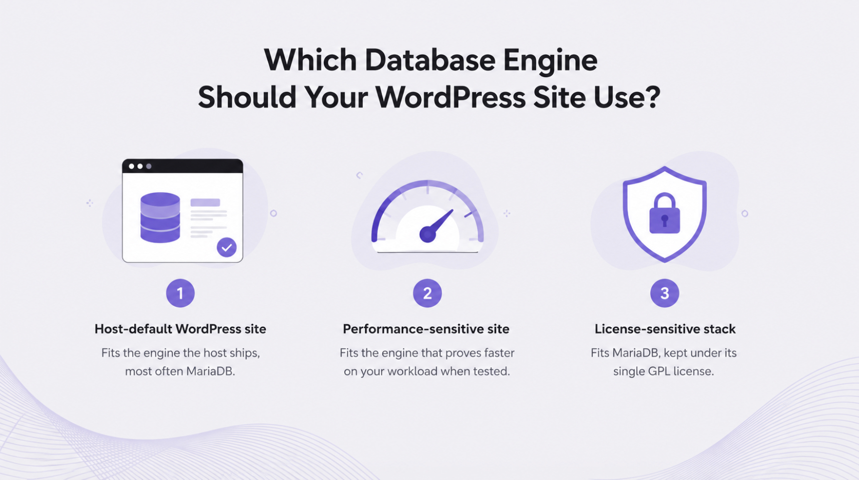 Which Database Engine Should Your WordPress Site Use?