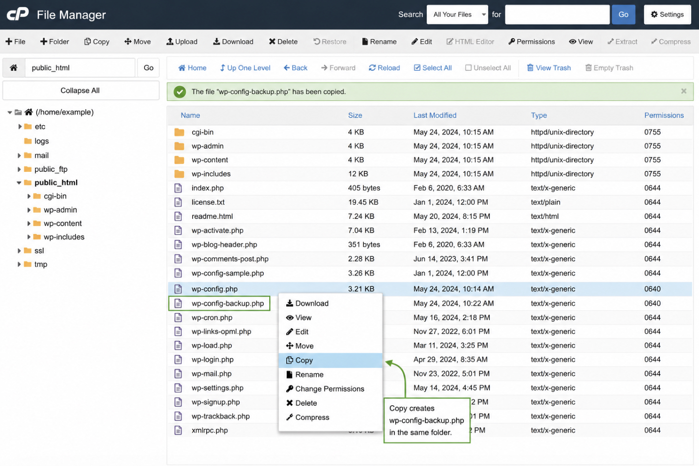 Copy/Download in cPanel File Manager