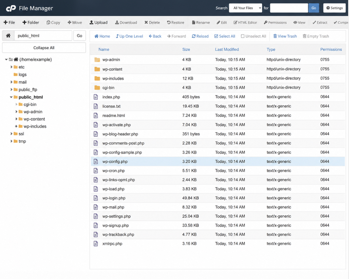 WordPress site root open in cPanel File Manager
