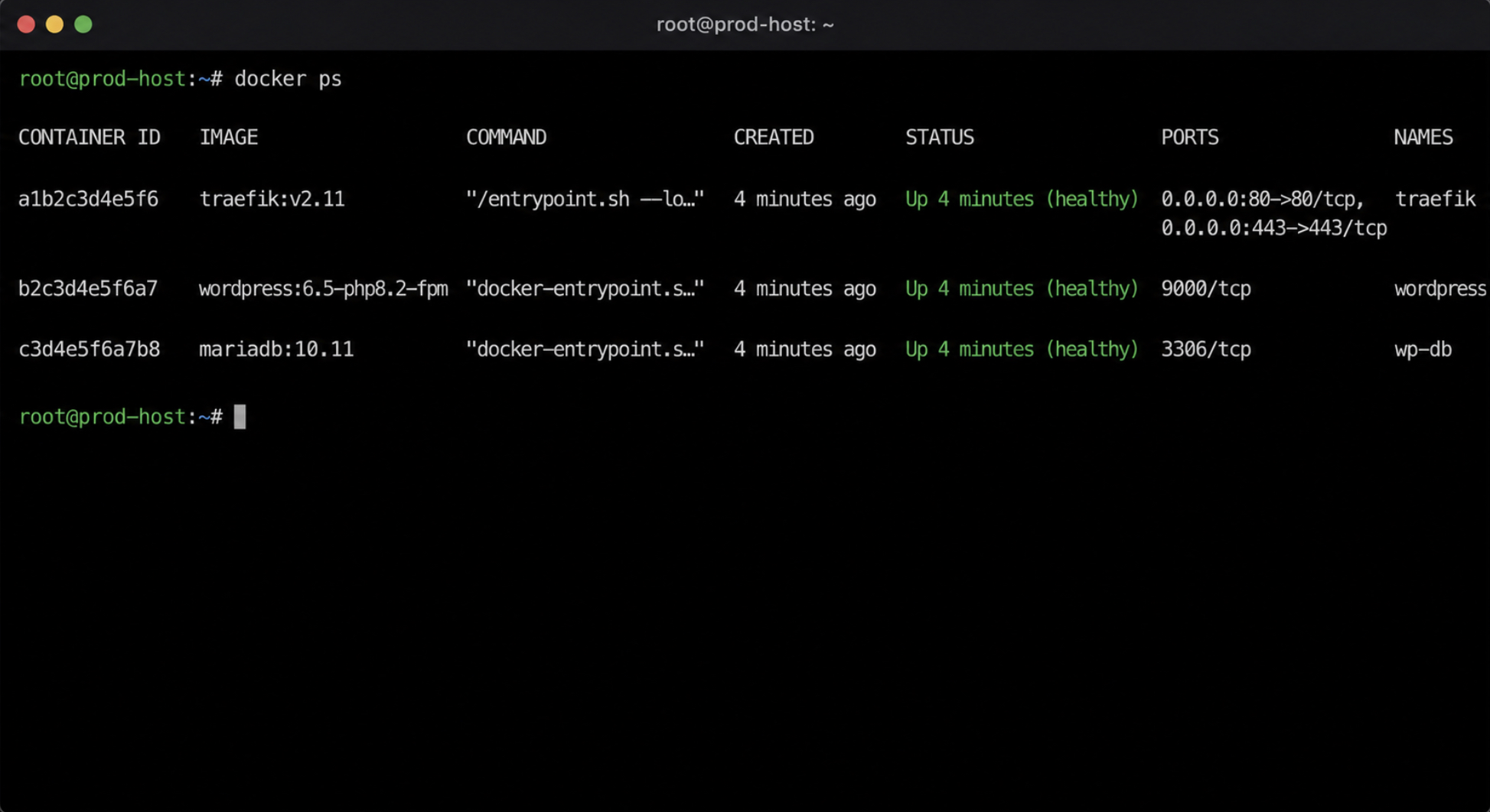 docker ps on the production host