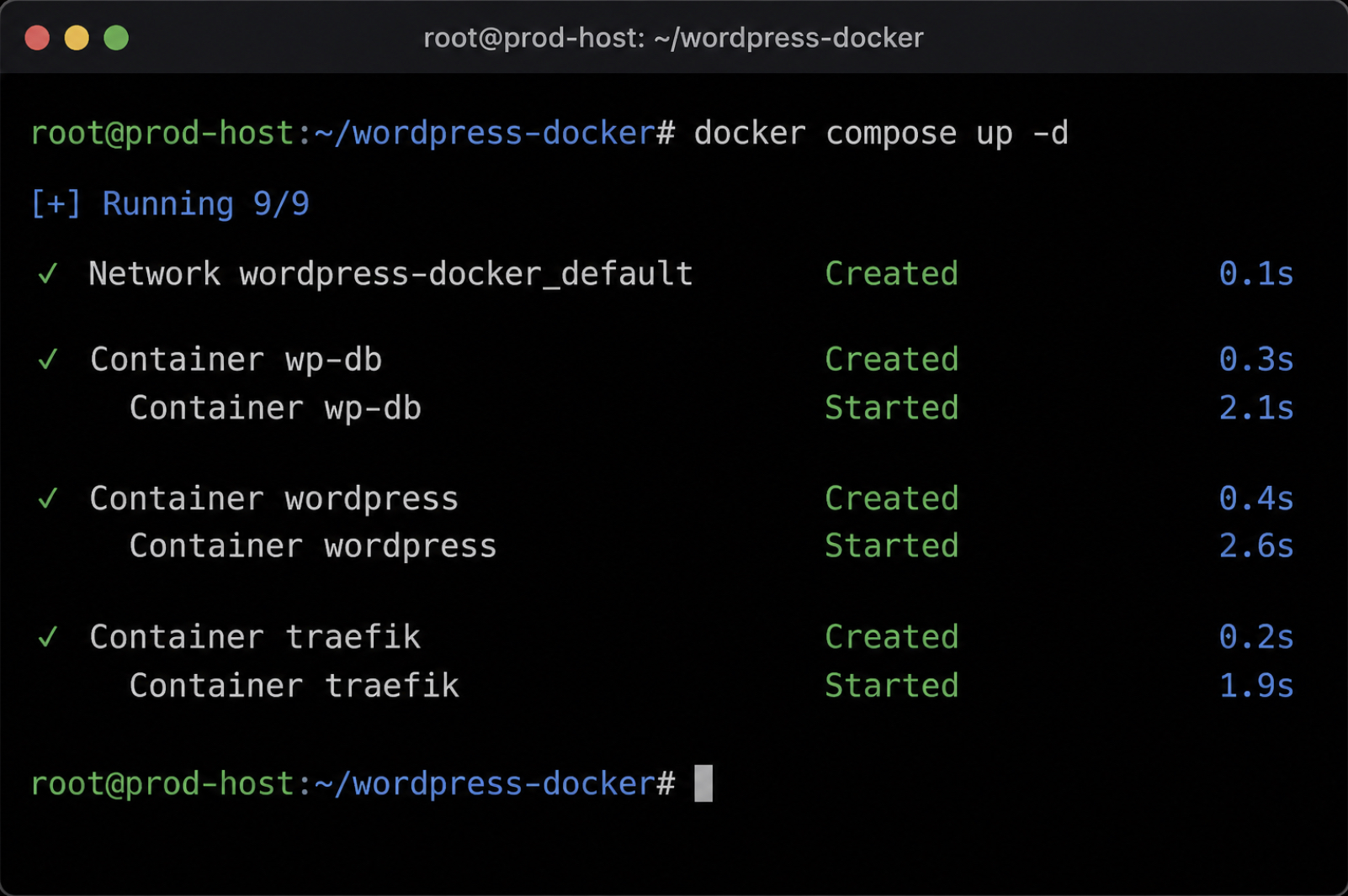 terminal output of docker compose up