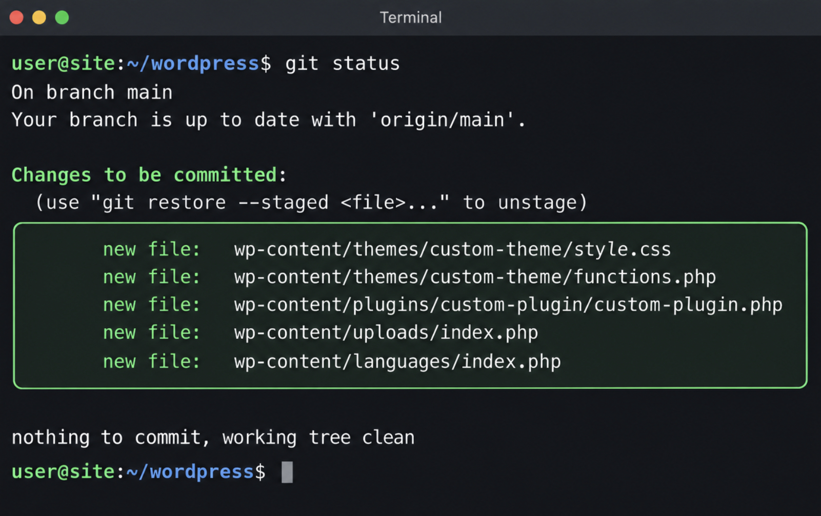 terminal after git status